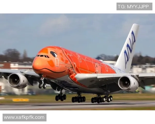 为啥叫全日空比赛-探究全日空比赛的由来与其独特性-为啥叫全日空比赛